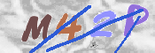 Image Anti-spam